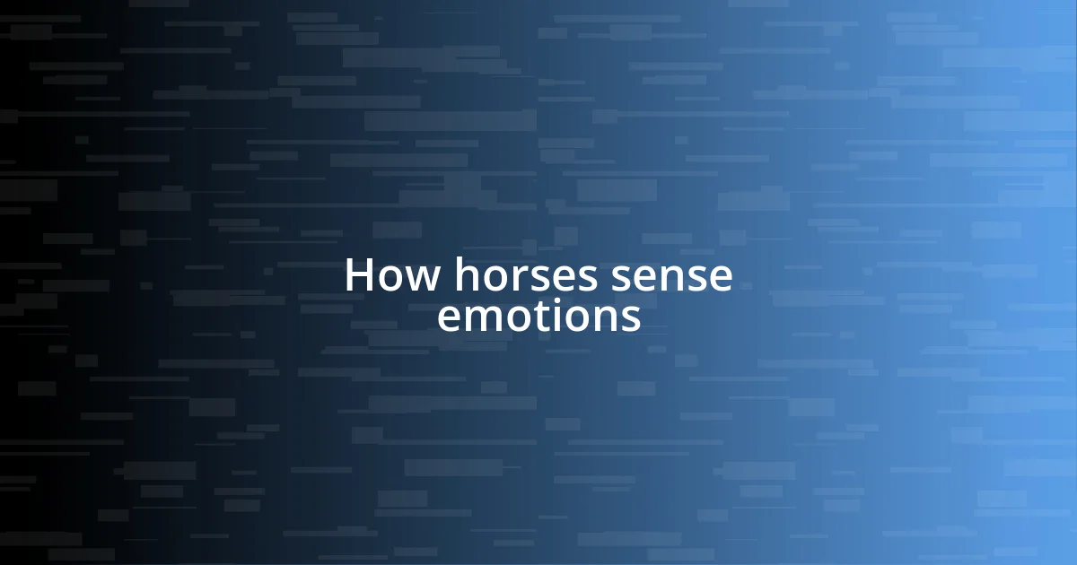 How horses sense emotions