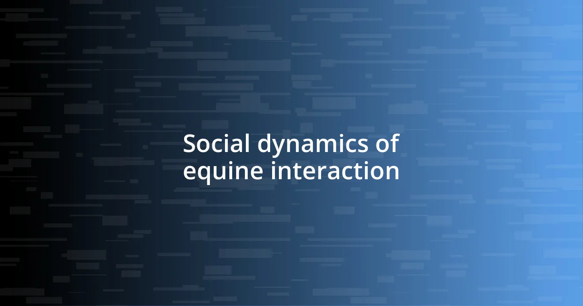 Social dynamics of equine interaction